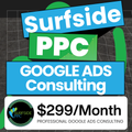 Google Ads Consulting