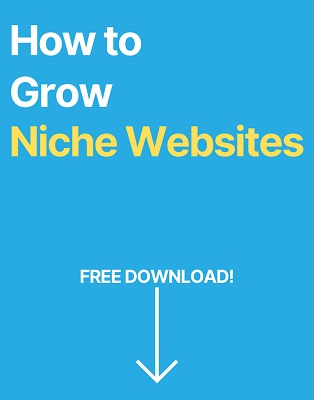 how to grow niche websites
