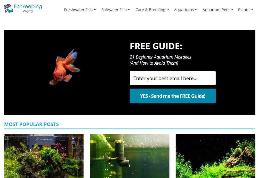 fishkeepingworld.com niche website screenshot