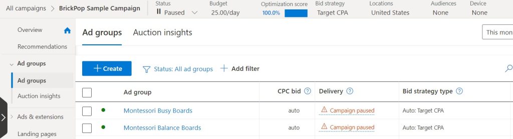 Bing ads campaigns should have ad groups that are organized by theme.