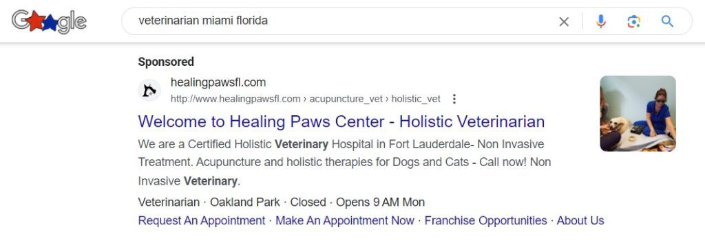 Google Ads can be a great way for veterinarians to drive new patients.
